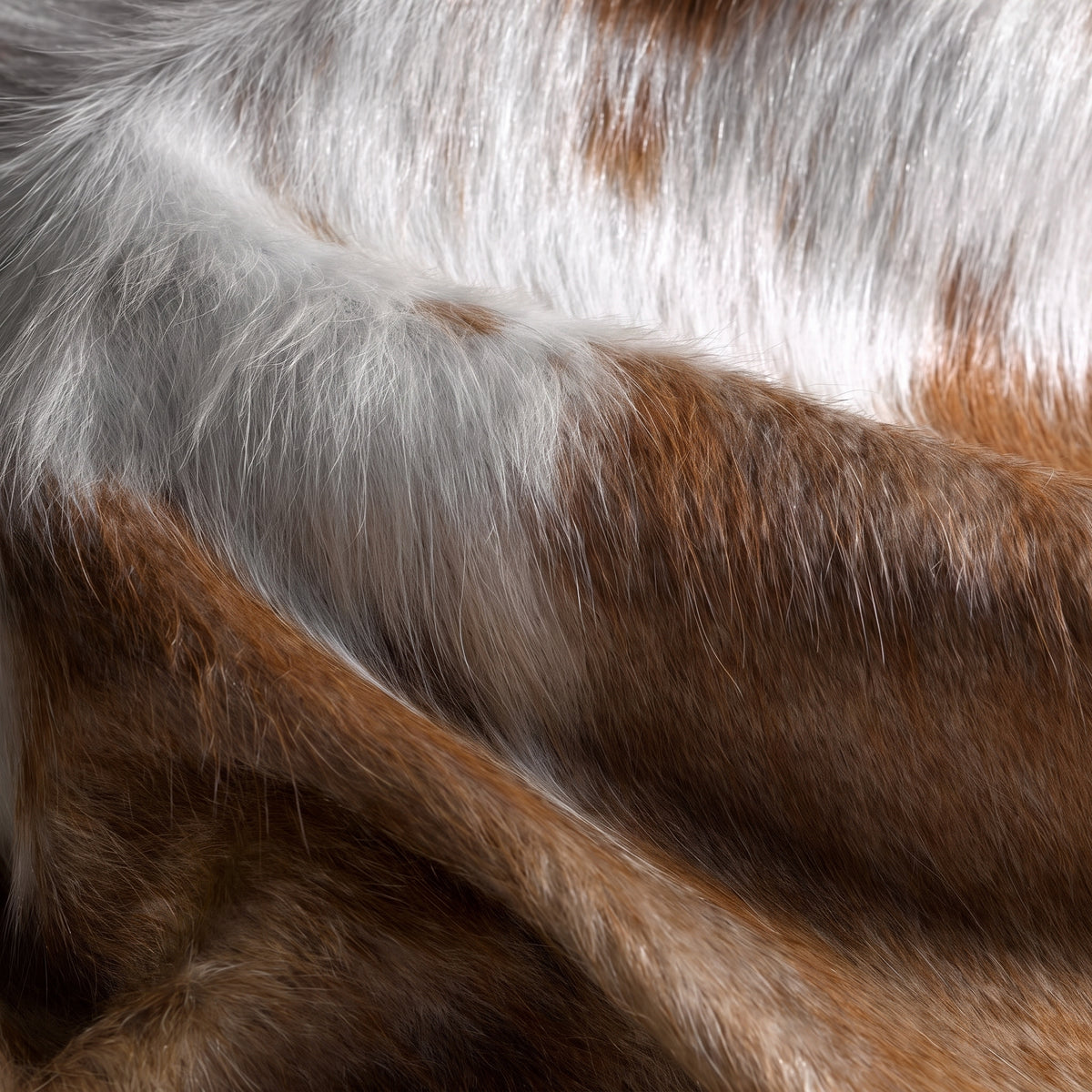 FAUNA CONTOUR