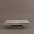THE BRUTALIST