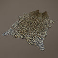 THE NOCTURNE LEOPARD